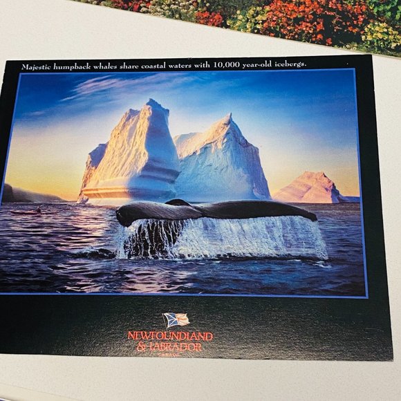 6 Vintage Canadian Blank Post Cards Maritimes Labrador Newfounland Ontario - Picture 5 of 8
